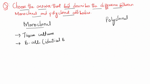 choose-the-answer-that-best-describes-a-difference-between-monoclonal-and-polyclonal-antibodies-monoclonal-antibodies-are-delivered-through-a-blood-transfusion-polyclonal-antibodies-are-deli-40382