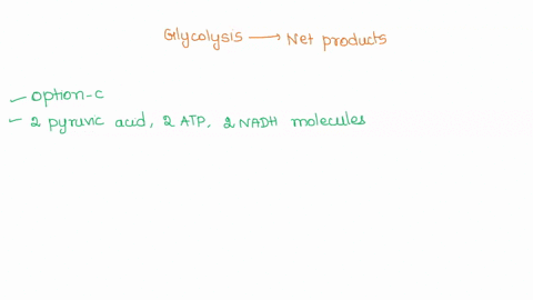 the-net-products-of-glycolysis-are-2-pyruvic-acid-molecules-4-atp-molecules-2-nadh-molecules-2-co2-molecules-2-atp-molecules-and-1-molecule-of-glucose-2-pyruvic-acid-molecules-2-atp-molecule-79059