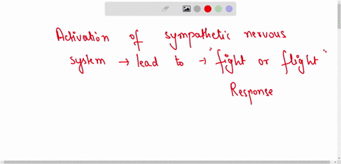 how-does-the-blood-chemistry-change-when-the-sympathetic-nervous-system-is-activated-01513
