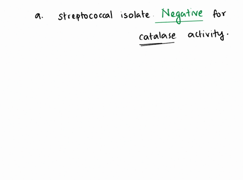 49-when-tested-for-catalase-activity-the-streptococcal-rolate-should-exhibit-positive-for-catalase-activity-negativc-for-calalasc-activily-falu-streptococca-identification-test-for-catalase-54818
