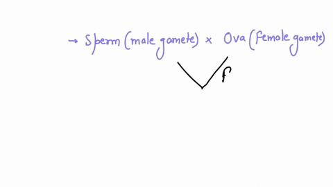 a-mutation-occurring-in-a-human-can-be-passed-from-parent-to-offspring-when-it-occurs-in-a-1-lung-cell-due-to-exposure-to-a-toxic-gas-2-gamete-formed-in-the-ovary-3-body-cell-undergoing-mito-74552