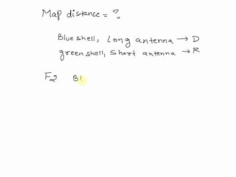 you-are-doing-lab-work-with-a-new-species-of-beetle-you-have-isolated-lines-that-breed-true-for-either-blue-shells-and-long-antenna-or-green-shells-and-short-antenna-crossing-these-lines-yie-50753