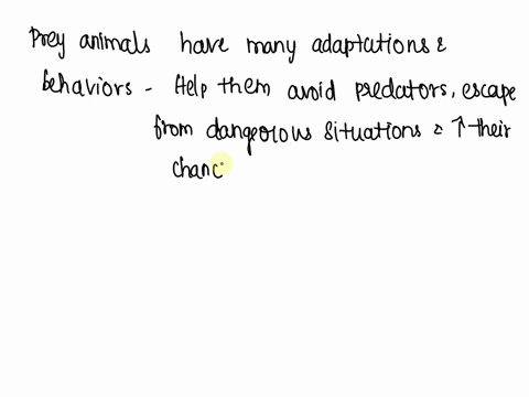 prey-animals-have-many-adaptations-and-behaviors-that-help-them-13148