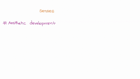 describe-how-the-teacher-in-the-video-encourages-aesthetics-using-sensory-exploration-describe-other-senses-that-you-could-engage-in-this-activity-and-the-techniques-you-would-use-with-child-20093