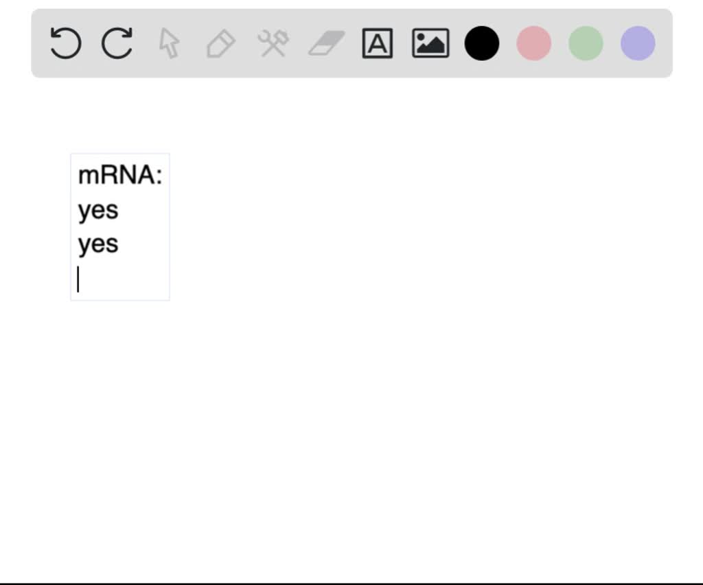 SOLVED: All of the following are found in eukaryotic messenger RNA ...