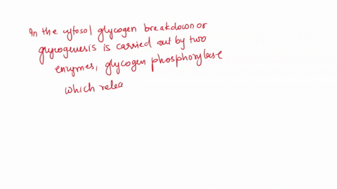 what-name-is-given-to-the-chemical-reaction-in-which-glycogen-is-broken-down-to-its-glucose-subunits-01226