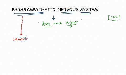 parasympathetic-stimulation-would-result-in-which-of-the-following-a-decreased-blood-flow-in-skin-c-increased-heart-rate-b-pupil-dilation-d-decreased-activity-of-digestive-tract-95878