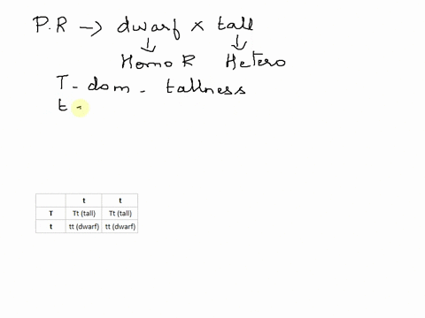use-a-punnett-square-to-predict-the-offspring-in-a-cross-between-a-dwarf-pea-plant-homozygous-rece-3-57425