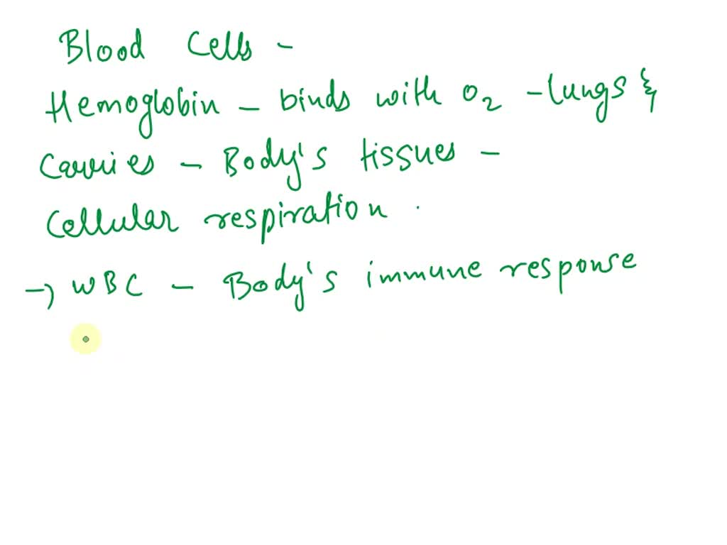 Which Statement Is True Regarding Lymphocytes SOLVED: Which statement is true concerning blood cells? a. white blood