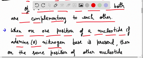refer-to-the-figure-below-what-bases-will-be-added-to-the-primer-as-dna-replication-proceeds-the-bases-should-appear-in-the-new-strand-in-the-order-that-they-will-be-added-starting-at-the-en-71677