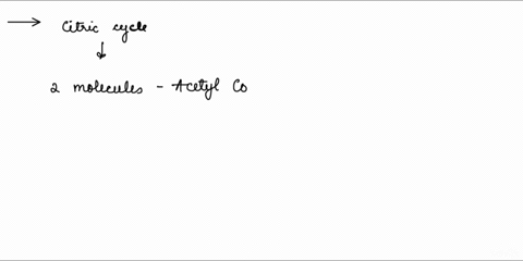 assuming-all-acetyl-coa-used-in-the-cholesterol-biosynthesis-pathway-are-generated-by-glucose-breakdown-at-least-how-many-glucose-molecules-would-be-needed-t0-make-one-cholesterol-molecule-p-68903