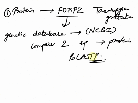 please-need-help-with-this-multiple-part-question-thank-you-so-much-for-your-help-in-advancel-a-what-is-the-protein-sequence-for-the-foxpz-gene-from-taeniopygia-guttata-how-similiar-or-diffe-76913