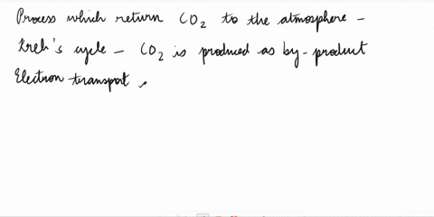 question-11-1pts-which-of-the-following-processes-return-carbon-dioxide-to-the-atmosphere-choose-all-which-apply-light-reactions-of-photosynthesis-dark-reactions-of-photosynthesis-krebs-cycl-71154