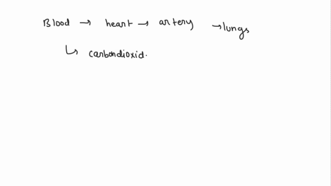 where-does-blood-go-once-it-leaves-the-right-side-of-the-heart-left-side-where-does-blood-come-from-when-it-enters-the-right-side-left-side-45616