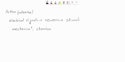briefly-describe-how-action-potentials-are-produced-from-mechanoreceptors-photoreceptors-and-chemoreceptors-39903