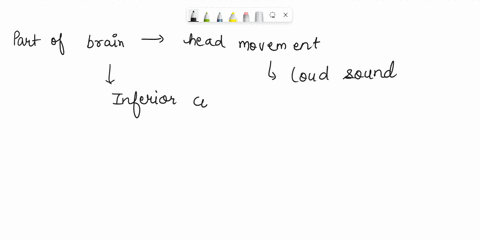 what-part-of-the-brain-triggers-a-head-movement-in-response-to-a-loud-sound-in-the-environment-78305