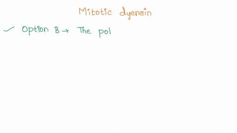 a-mitotic-dynein-a-motor-protein-that-binds-astral-microtubules-that-is-localized-exclusively-to-the-cell-membrane-a-the-mitotic-spindle-would-be-unchanged-as-this-is-the-normal-localizatio-62562