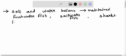 compare-and-contrast-how-salt-and-water-balance-is-maintained-in-freshwater-fish-saltwater-fish-and-sharks-53827