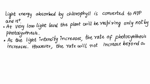 how-does-light-intensity-affect-the-rate-of-photosynthesis-procedure-the-purple-slider-can-be-used-to-change-the-light-levels-you-will-count-the-number-of-bubbles-at-each-level-the-timer-in-23839