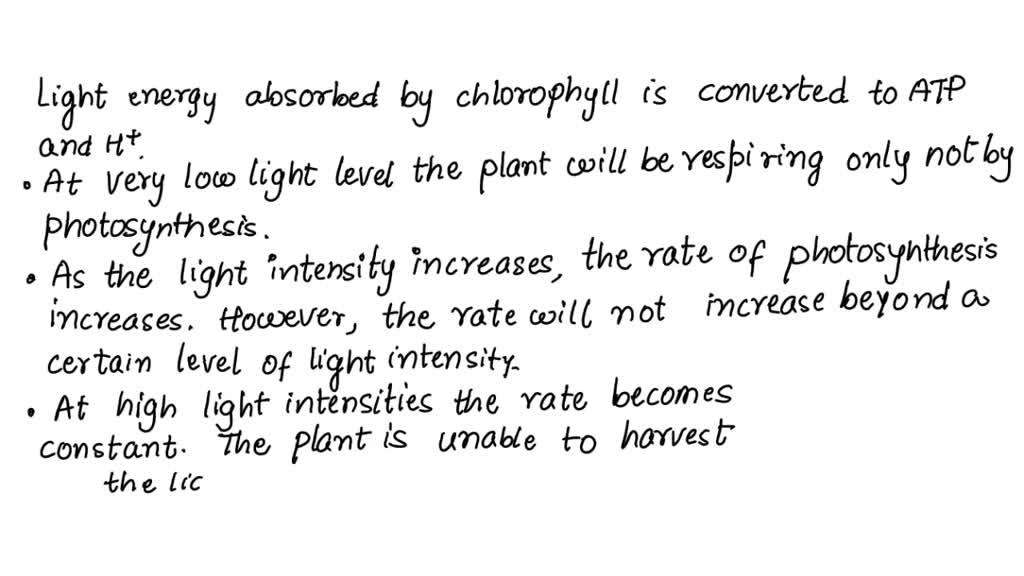 SOLVED 'How Does Light Intensity Affect the Rate of Photosynthesis
