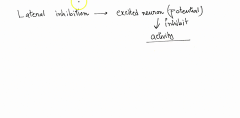 21-what-is-lateral-inhibition-a-neural-mechanisms-that-enhances-contrast-b-mechanism-that-inhibit-lateral-motor-movements-c-a-form-of-temporal-integration-d-adaptation-in-sensory-system-52585