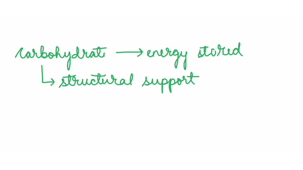 Which Biomolecule Is a Main Source of Quick Energy-Carbohydrate Functions Explained