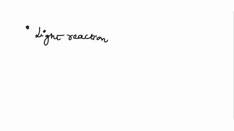 3-ught-reactlona-and-carbon-reactlons-use-the-labels-to-complete-the-sentences-about-the-reacllons-0t-photosynthesis-ijomn-rpin-rodcor-dlctont-loli-poizoaa-nociron-pholonalem-endn-tarepon-ct-83092