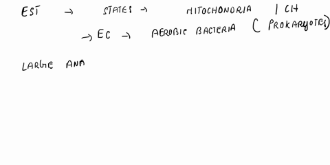 which-of-the-following-statements-would-not-be-consistent-with-the-theory-for-the-endosymbiotic-origin-of-mitochondria-and-chloroplasts-and-why-a-mitochondria-and-chloroplasts-have-their-own-63679