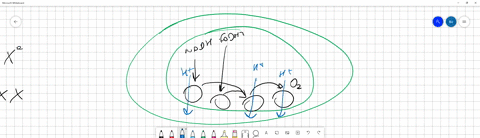 rrektlce-10-in-chemiosmosis-what-is-the-most-direct-source-of-energy-that-is-used-to-convert-adp-ito-atp-energy-released-as-electrons-flow-through-the-electron-transport-chain-energy-release-85103