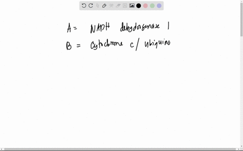 below-is-a-diagram-of-the-electron-transport-chain-for-each-component-of-the-pathway-select-the-full-name-of-the-complex-cytochrome-oxidase-cytochrome-nadh-dehydrogenase-succinate-dehydrogen-45882