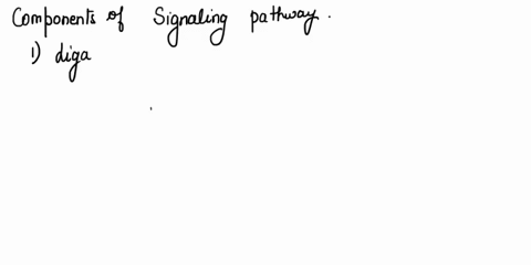 1-what-are-the-essential-parts-of-a-signaling-pathway-2-how-could-activating-a-transcription-factor-cause-long-term-cellular-changes-3-what-roles-can-phosphorylation-play-in-protein-function-70705