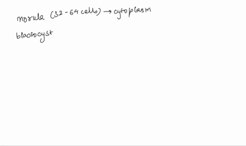 describe-the-food-sources-for-the-developing-embryo-13265