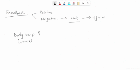 3-positive-feedback-loops-are-important-for-certain-processes-in-the-body-even-though-they-are-not-as-prevalent-in-the-human-body-as-negative-feedback-loops-which-of-the-following-statements-16095