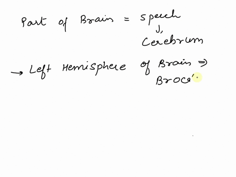 geraldine-suffered-a-stroke-which-left-her-with-language-impairment-she-has-good-comprehension-but-produces-speech-that-contains-mostly-content-morphemes-such-as-car-book-and-cup-and-lacks-f-31422