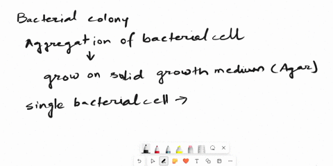 answer-the-following-questions-1-define-a-bacterial-colony-2-what-is-the-difference-between-macroscopic-and-microscopic-appearance-of-bacteria-3-state-the-three-standard-terms-used-to-descri-79632