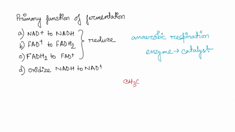 the-primary-function-of-fermentation-is-to-reduce-nad-to-nadh-reduce-fad-to-fadh2_-oxidize-nadh-to-nad_-reduce-fadh2-to-fad_-50663