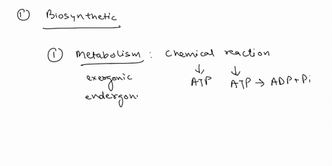 uijcussion-155-pts-possible-correct-vour-score-1-the-sum-of-all-biosynthetic-reactions-synthantabolism-cell-is-known-as-a-catabolism-metabolism-b-anabolism-21-based-the-functional-roles-of-p-57599