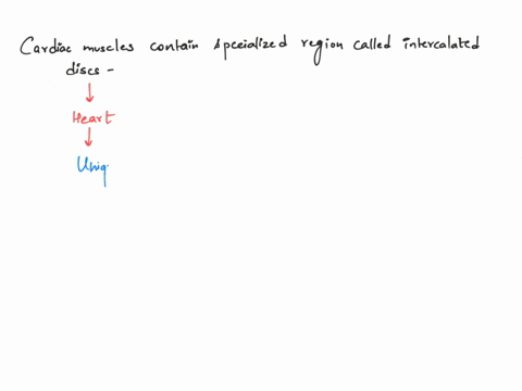 cardiac-muscle-contains-specialized-regions-along-the-plasma-membrane-called-intercalated-discs-what-58881