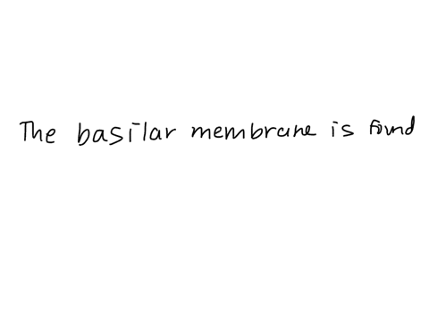 which-structure-is-found-in-the-inner-ear-a-hammer-b-basilar-membrane-c-tympanic-membrane-d-pinna-e-66637