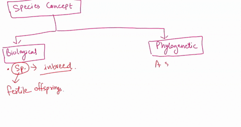 what-is-the-difference-between-the-phylogenetic-and-biological-species-concepts-give-examples-42551