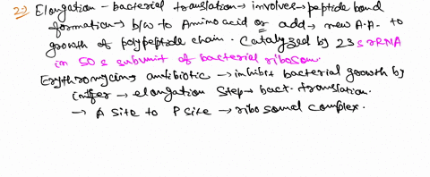 azithromycin-clarithromycin-erythromycin-and-natamycin-are-a-few-representative-types-of-drugs-known-as-the-macrolides-this-is-a-group-of-macrocyelic-molecules-the-most-prescribed-is-erythro-82288