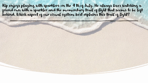 kip-enjoys-playing-with-sparklers-on-the-4-th-of-july-he-always-loves-watching-a-friend-run-with-a-s-07123