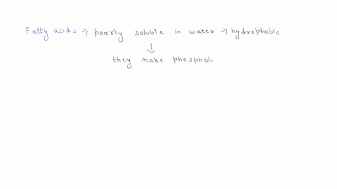 explain-how-phospholipids-can-spontaneously-self-assemble-into-a-lipid-bilayer-why-this-particular-shape-as-opposed-to-a-mono-layer-or-tri-layer-note-that-the-individual-phospholipid-molecul-55878