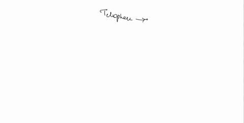 telophase-is-a-stage-of-a-cellular-process-that-begins-after-the-chromosomes-have-moved-to-opposite-poles-of-the-cell-during-which-cellular-process-does-telophase-occur-63684