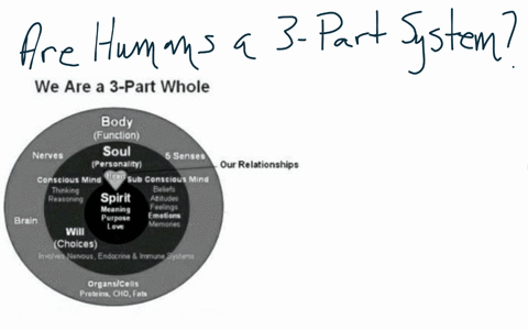 looking-on-the-diagram-below-do-you-agree-that-human-person-has-body-soul-and-spirit-explain-a-pat-the-shoulder-from-your-idol-a-smile-from-your-crush-kiss-from-your-pariner-will-create-inte-66131