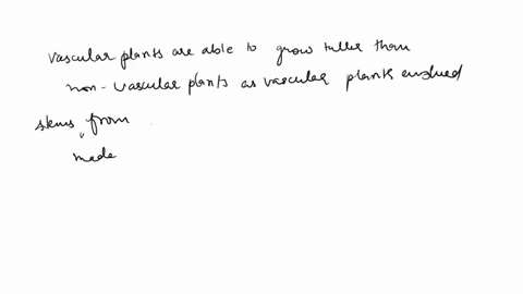vascular-plants-are-able-to-grow-taller-than-nonvascular-plants-because-a-lignin-in-the-cell-walls-of-vascular-tissue-helps-the-plant-overcome-gravity-b-they-can-live-in-drier-areas-than-non-52098