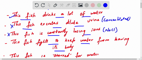 which-of-the-following-statements-about-a-fish-living-in-saltwater-are-true-check-all-that-apply-select-all-that-apply-this-fish-drinks-a-lot-of-water-this-fish-excretes-dilute-urine-this-fi-44758