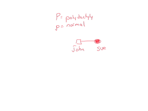 polydactyly-having-an-extra-finger-on-your-hand-is-inherited-as-an-autosomal-not-on-the-x-chromosome-dominant-trait-imagine-you-know-two-people-john-and-sue-with-polydactyly-each-of-whom-had-47528