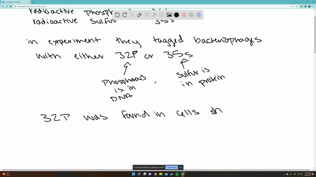 SOLVED Hershey and Chase had access to radioactive phosphorus (32P