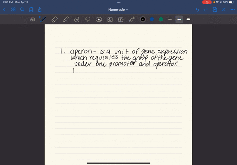 please-answer-which-ever-questions-you-want-i-dont-expect-all-answers-to-be-answered-thank-you-in-advanced-what-is-the-difference-between-an-operon-and-polycistronic-mrna-what-genes-are-code-13068